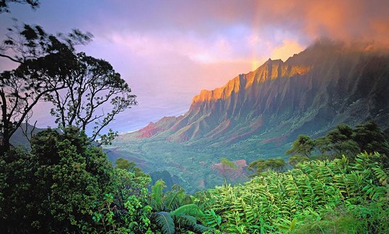 Kauai Nature
